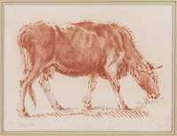 KG 07265
<br/>
Grazende koe
<br/>
<em>Cootwyk, Jurriaan (1712 - ?)</em>